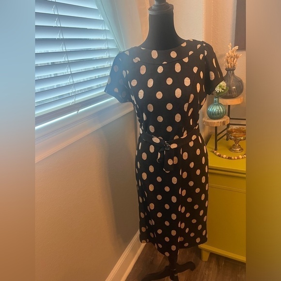 AB studio polka dot belted dress. Black and‎ brown. Size L - Picture 1 of 11